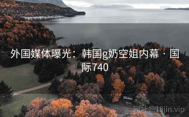 外国媒体曝光：韩国g奶空姐内幕 · 国际740
